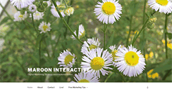 Desktop Screenshot of marooninteractive.com