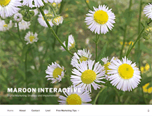 Tablet Screenshot of marooninteractive.com